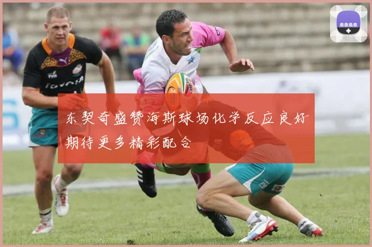 东契奇盛赞海斯球场化学反应良好期待更多精彩配合
