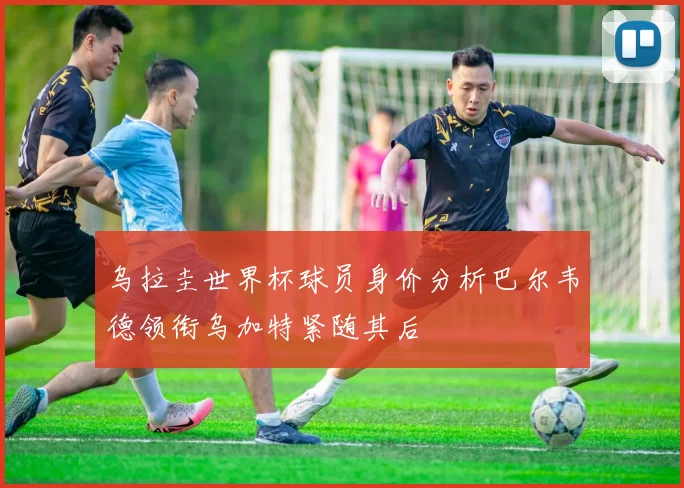 乌拉圭世界杯球员身价分析巴尔韦德领衔乌加特紧随其后