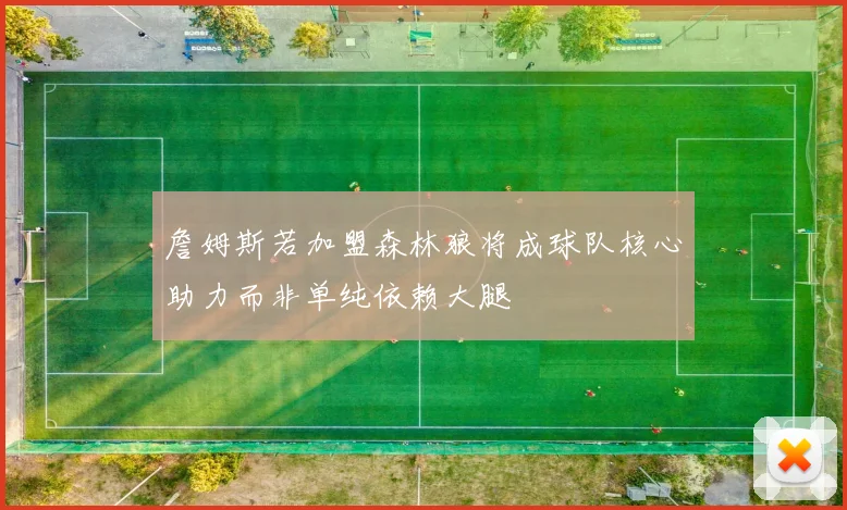 詹姆斯若加盟森林狼将成球队核心助力而非单纯依赖大腿